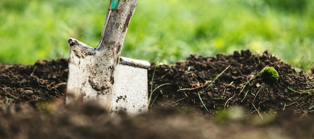 Spaten steckt während Gartenarbeiten im Boden