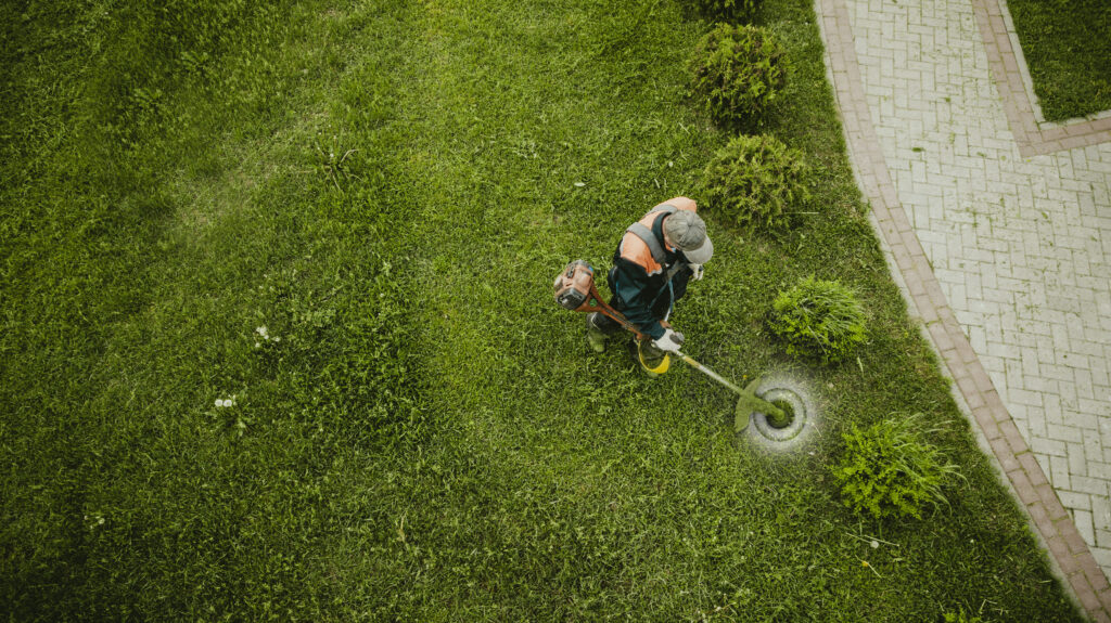 Mitarbeiter mit einem Rasentrimmer bei der Rasenpflege zwischen kleinen Büschen