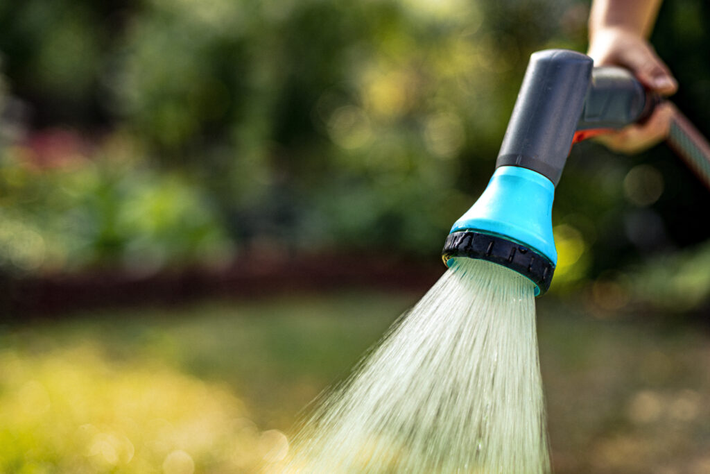 Detailansicht eines Wasserschlauchs mit Sprühkopf beim Bewässern eines Gartens