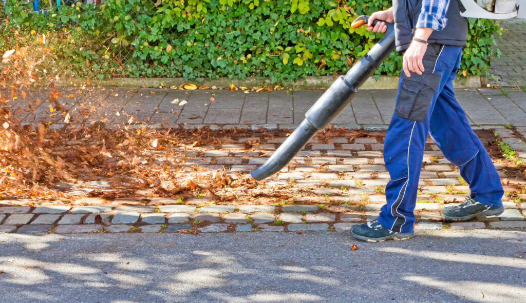 Laubentfernung von Martens Services