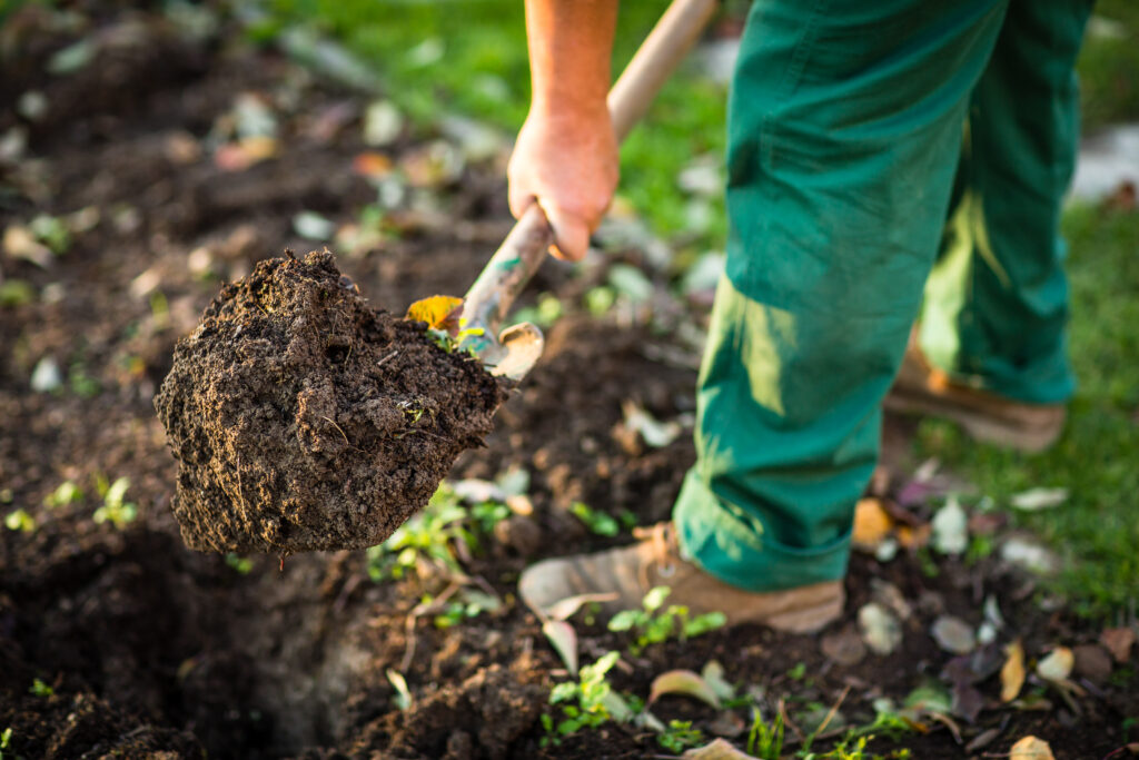 Mitarbeiter gräbt ein Beet in einem Kleingarten um