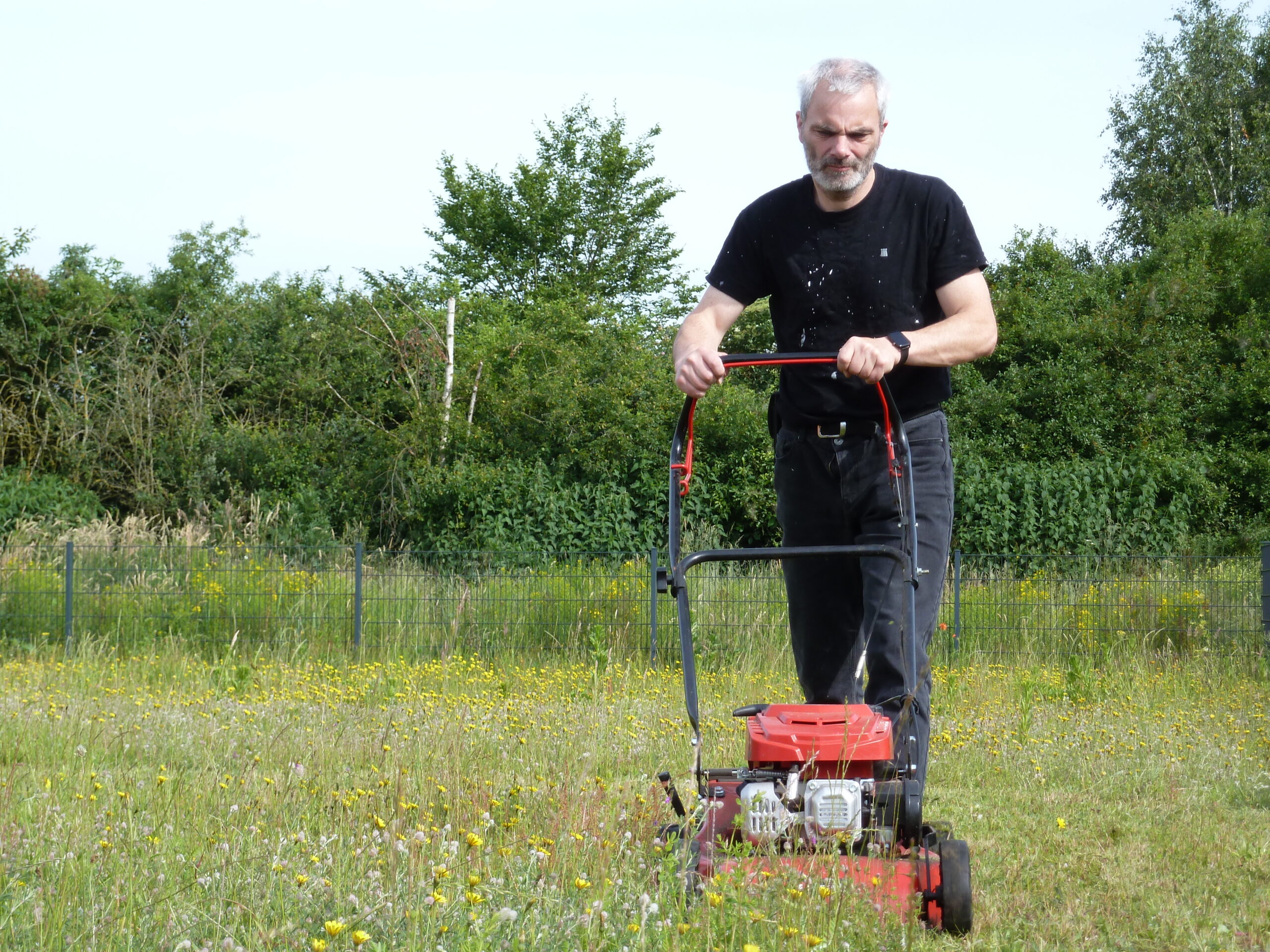 Mitarbeiter von Martens Services mäht einen verwilderten Rasen